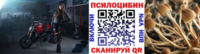 Галлюциногенные грибы Cubensis  купить   Кирово-Чепецк 